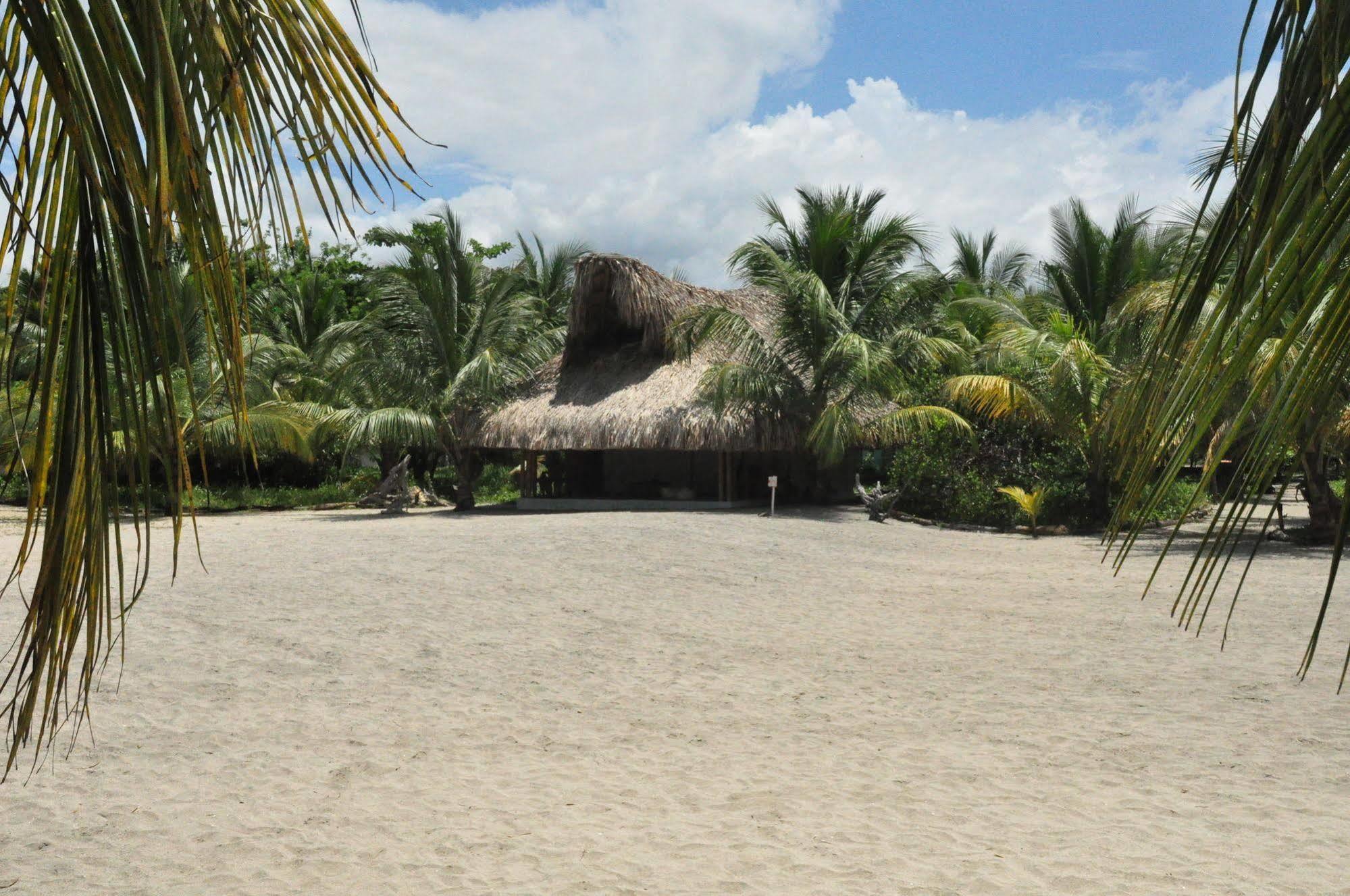 Hôtel Playa Koralia à Santa Marta  Extérieur photo